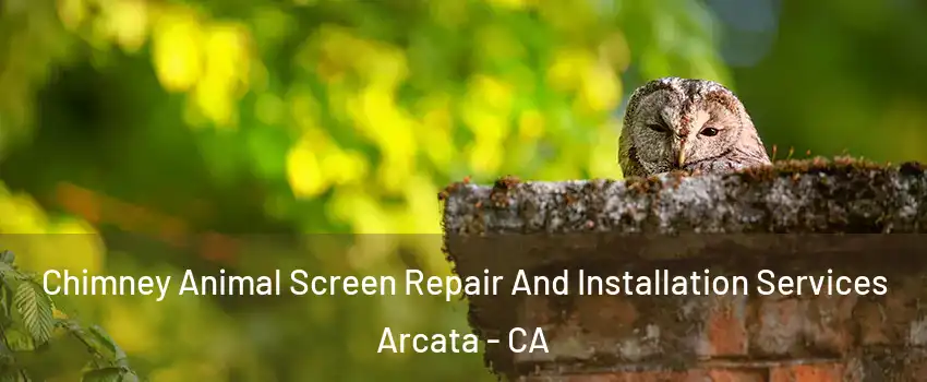  Chimney Animal Screen Repair And Installation Services Arcata - CA