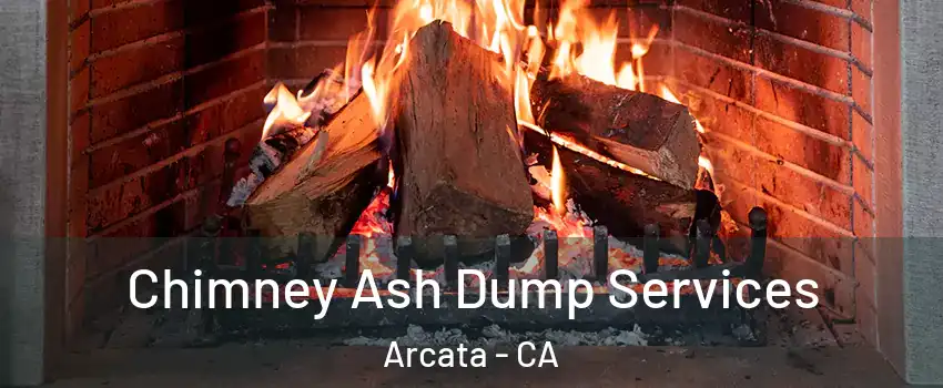  Chimney Ash Dump Services Arcata - CA