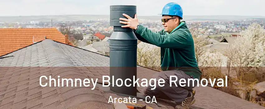 Chimney Blockage Removal Arcata - CA