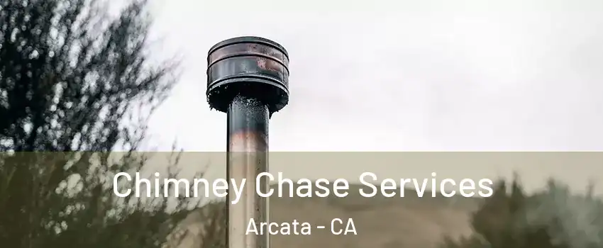 Chimney Chase Services Arcata - CA