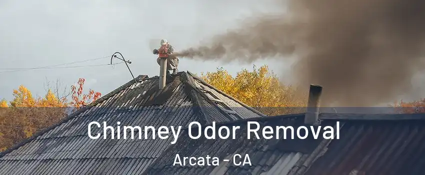  Chimney Odor Removal Arcata - CA