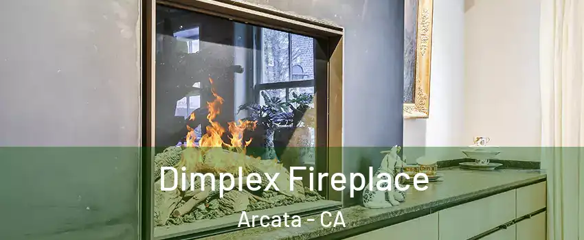  Dimplex Fireplace Arcata - CA