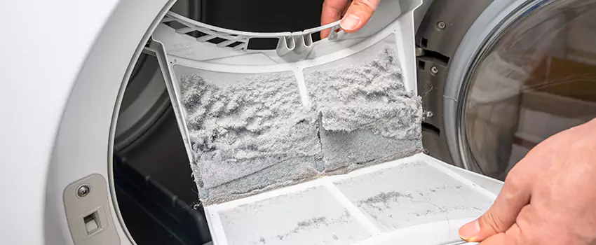 Best Dryer Lint Removal Company in Arcata, California